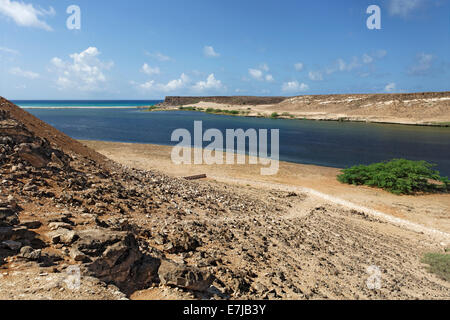 Wadi Darbat in Salalah, Dhofar region, Sultanate of Oman, Arabian Peninsula Stock Photo