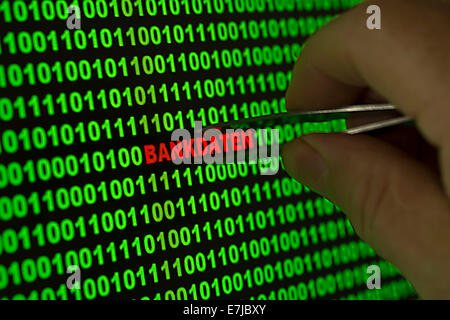 Hand reaching for the word "Bankdaten", German for "Banking information" with tweezers in a binary code Stock Photo
