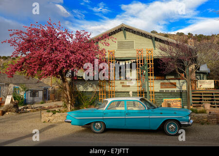 USA, United States, America, New Mexico, Madrid, Ghost town, history, artist, community, hogs, movie set, classic car, bloom, ho Stock Photo