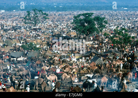 Pushkar Festival, Pushkar, Rajasthan, India Stock Photo