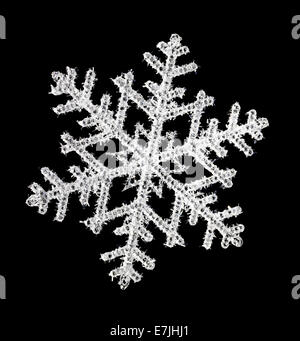 Snowflake with a black background Stock Photo