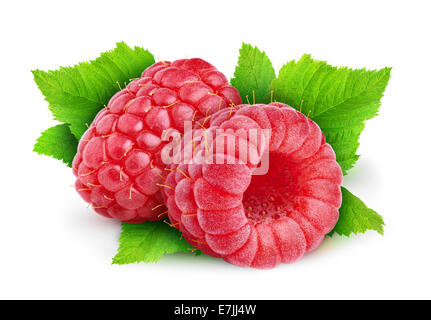 Two raspberries on white background Stock Photo