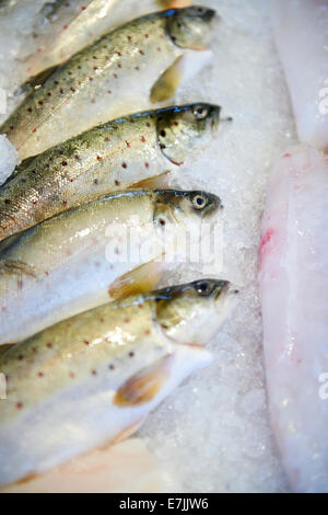 Fish for sale on a market stall at the Torget Fish Market, Bergen, Norway, 2014. Stock Photo