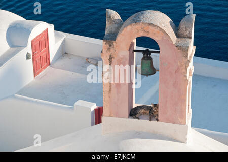 Cat in Bell Tower, Village of Oia, Oia, Santorini, Cyclades Islands, Greek Islands, Greece, Europe Stock Photo