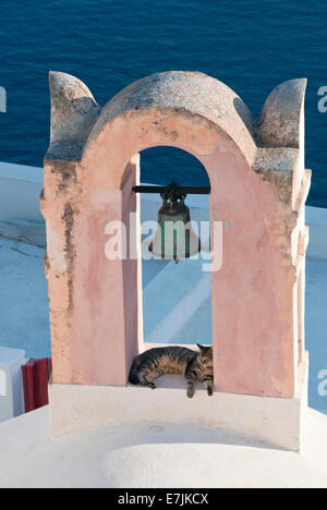 Cat in Bell Tower, Village of Oia, Oia, Santorini, Cyclades Islands, Greek Islands, Greece, Europe Stock Photo