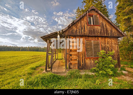 Discarded wooden cabin  in the wilderness. Hdr image. Stock Photo