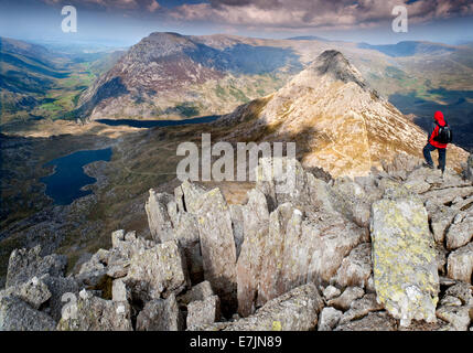 Walker Overlooking Tryfan & The Ogwen Valley from Bristly Ridge, Snowdonia National Park, North Wales, UK Stock Photo