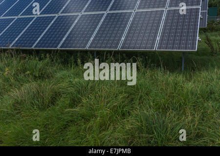 Sections of a PV / Photo-voltaic solar panel array. A 'renewable' form of power useful in the climate change energy mix. Stock Photo