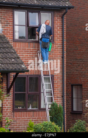 Window cleaner cleaning windows at house property in Devizes, Wiltshire UK in August Stock Photo