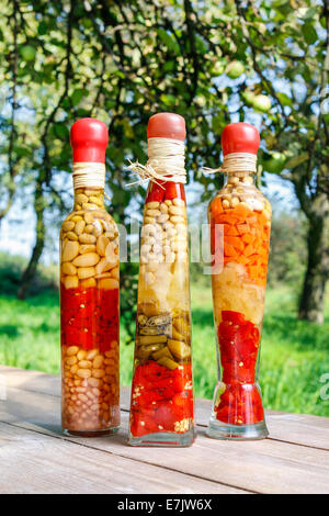 Colorful pickled vegetables in preserving glass. Autumn dish Stock Photo