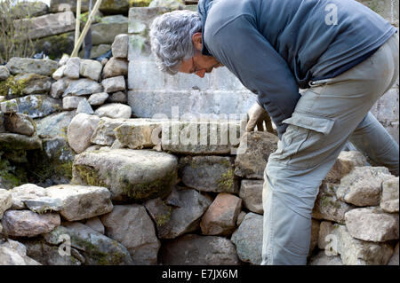 Preparatory work for building an earth oven.  Building the dry stone wall base using granite from the garden Stock Photo