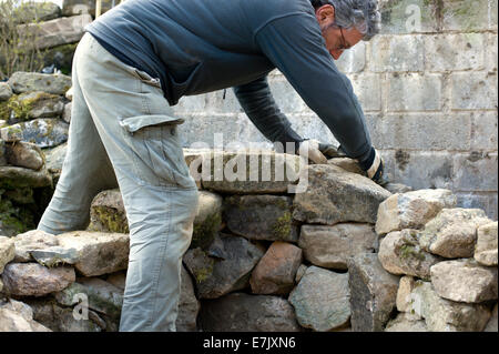 Preparatory work for building an earth oven.  Building the dry stone wall base using granite from the garden Stock Photo