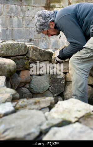 Preparatory work for building an earth oven.  Building the dry stone wall base using granite from the garden Stock Photo