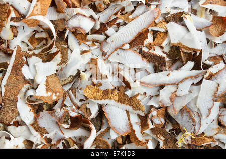 Surface of the coconut. Materials used in the production of oil. Stock Photo