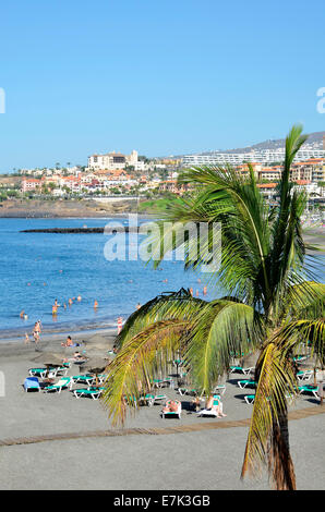 The beach at Torviscas on the Costa Adeje in Tenerife, Canary Islands Stock Photo
