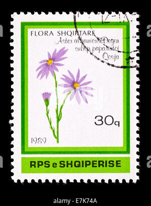Postage stamp from Albania depicting an aster (Aster albanicus) Stock Photo