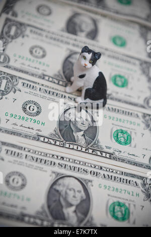 USA problems with cats and pets and cost of living Stock Photo