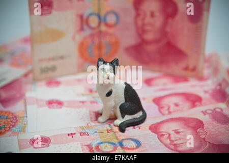 China problems with cats and pets and cost of living Stock Photo