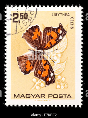 Postage stamp from Hungary depicting a European Beak or Nettle-tree Butterfly  (Libythea celtis) Stock Photo