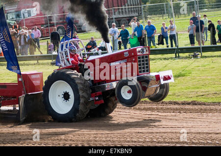 tractor pulling puller pullers wheelie dragging a weighted sled sledge motorsport tractors super stock competition friction Stock Photo