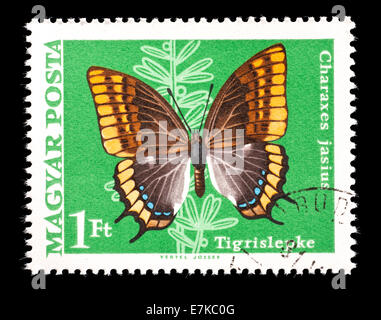 Postage stamp from Hungary depicting Two-tailed Pasha or Foxy Emperor butterfly (Charaxes jasius) Stock Photo