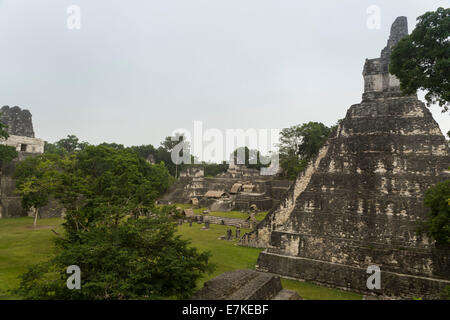 Great Plaza, Tikal National Park, El Peten, Guatemala Stock Photo