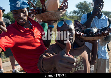 Craft vendors on the border between Botswana and Zambia. From Victoria Falls is possible to visit the nearby Botswana. Specifica Stock Photo