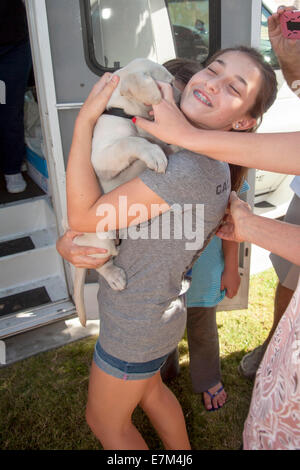 A happy teenage girl in Midway City, CA, hugs a newly delivered purebred Labrador puppy at the door of the 'puppy truck' from the organization Guide Dogs for the Blind. She will spend 15 months raising and training the dog before it must be returned for f Stock Photo