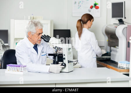 Male Scientist Using Microscope In Lab Stock Photo