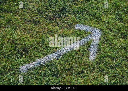 White Arrow Painted On Grass. Stock Photo