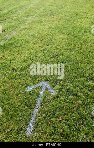 White Arrow Painted On Grass. Stock Photo