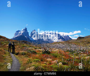 Hiking in the Torres del Paine national park, Patagonia, Chile, Stock Photo