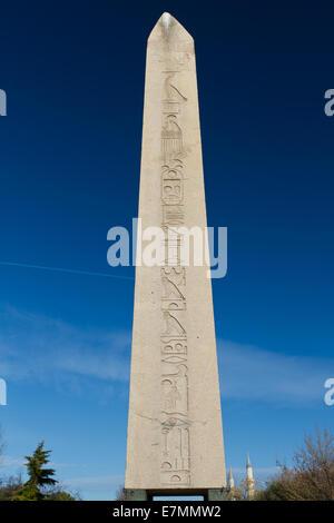 Obelisk Theodosius Istanbul Turkey Stock Photo