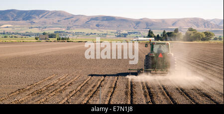 Seems late to be planting but a farmers work never ends Stock Photo