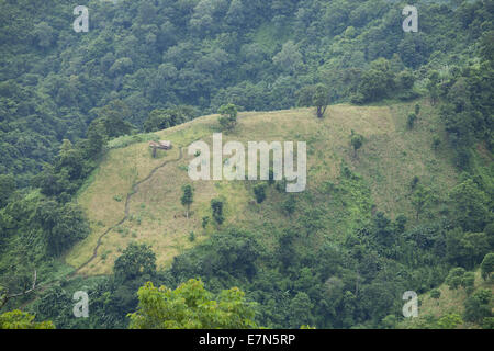 Bandorban, Bangladesh. 20th Sep, 2014. A tribal village near Bolipara union in Bandorban district © Zakir Hossain Chowdhury/ZUMA Wire/Alamy Live News Stock Photo