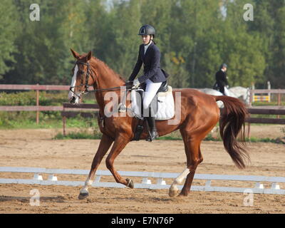 Girl riding bay dressage horse Stock Photo