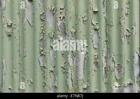 peeling paint on painted galvanized corrugated warehouse with reinforced broken windows behind protective steel mesh Stock Photo