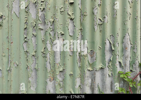 peeling paint on painted galvanized corrugated warehouse with reinforced broken windows behind protective steel mesh Stock Photo