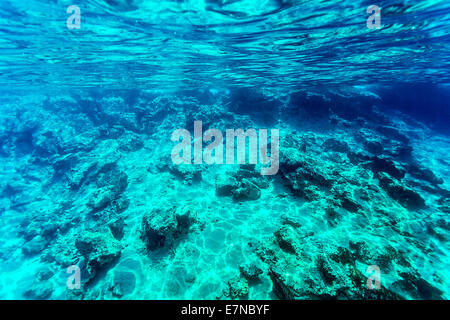 Beautiful seabed background, gorgeous sea bottom through transparent blue water, majestic marine life, travel and vacation Stock Photo