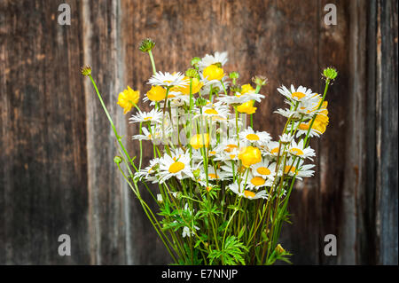 Beautiful tender bouquet of summer meadow flowers with wild chamomiles on wooden background. Floral composition in rural vintage Stock Photo