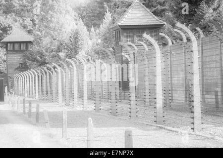 barbed wire fencing and watch towers at Auschwitz concentration camp, Auschwitz, Poland - infrared ghostly Stock Photo