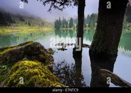 Gantrischseeli, lake, Switzerland, Europe, canton Bern, Bernese Oberland, Gantrisch area, nature reserve, Gantrisch, fog Stock Photo