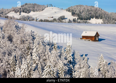 Hemberg, Switzerland, Europe, canton St. Gallen, Toggenburg, barn, winter Stock Photo