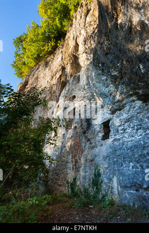 Oberriet, Switzerland, Europe, canton St. Gallen, Rhine Valley, pond ...