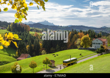 Wood, Forest, Rehetobel, Heiden, look, Scheidweg, mountain, mountains, autumn, Postbus, canton, Appenzell, Ausserrhoden, Alpstei Stock Photo