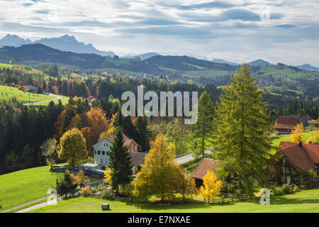 Wood, Forest, Rehetobel, Heiden, look, Scheidweg, mountain, mountains, autumn, canton, Appenzell, Ausserrhoden, Alpstein, Säntis Stock Photo