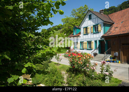 Houses, Homes, Thal, SG, canton St. Gallen, Staad, Altenrhein, Switzerland, Europe, Stock Photo