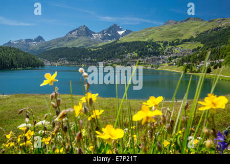 Engadin, Engadine, Saint Moritz, St. Moritzersee, Saint Moritz, St. Moritz, GR, mountain lake, canton, GR, Graubünden, Grisons, Stock Photo