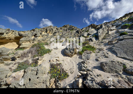 South Africa, De Hoop Nature Reserve, landscape Stock Photo