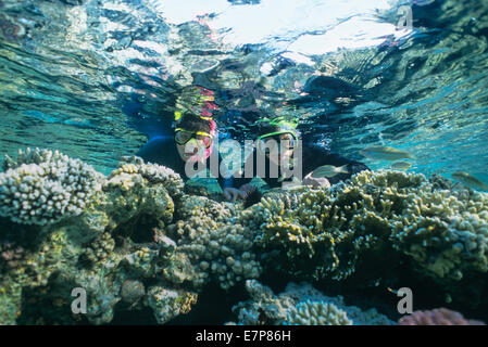 Snorkelers dive in a coral reef surrounded by fish; Sharm-el-Sheik, Egypt-Red Sea Stock Photo